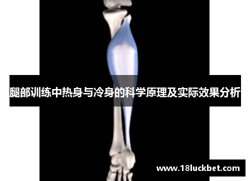 腿部训练中热身与冷身的科学原理及实际效果分析